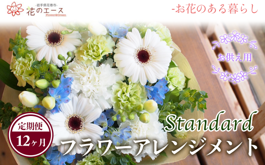 y茧Ԋszy12ցzÂԂYȂApt[AWgX^_[h y1498z