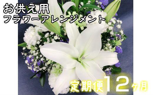 y茧Ԋszy12zw\ pt[AWg y804z