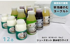 早池峰のむヨーグルト・ジュースセット 飲み切りサイズ（B-2）　 【1551】