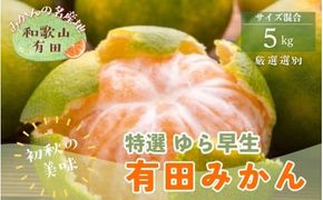 【初秋の美味】特選　ゆら早生有田みかん　約5kg+200g(傷み補償分)【2026年10月中旬～11月上旬頃に順次発送予定】【ard051D】