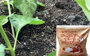 【四国一小さなまち】のぶさんがつくった牛フン堆肥　20L（約6㎏）×3袋