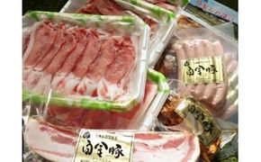 白金豚（プラチナポーク）バラエティセット 【169】