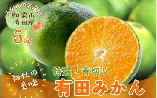 【先行予約】【初秋の美味】【農家直送】特選　青切り有田みかん　約5kg+200g(傷み補償分)【2026年9月中旬～10月上旬頃に順次発送予定】【ard044D】