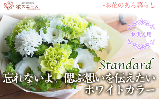 y茧Ԋszt[AWg@YȂBÂԑz`zCgJ[X^_[h y1519z