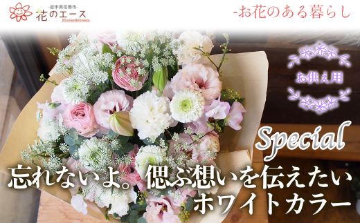 y茧Ԋszt[AWg@YȂBÂԑz`zCgJ[XyV y1520z