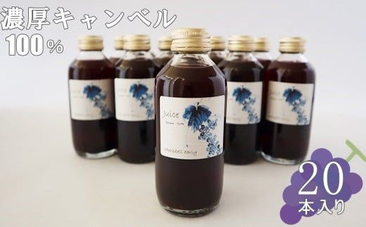 y茧Ԋszsgp uhEI ZLxW[Xri180mlj20{Zbg y615z