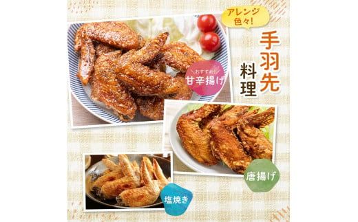 恵那どり手羽先 計4kg F4N-2404