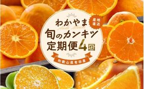 【全4回】和歌山旬のカンキツ定期便【S】3・5・9・11月発送（ご家庭用）※北海道・沖縄県・離島への配送不可 / 春の柑橘 初夏の柑橘 青切り 有田みかん 完熟有田みかん フルーツ くだもの 果物【a