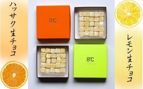 フルーツ生チョコ2種セット/生チョコ デザート 八朔  手作り 柑橘 果汁 【kmf013】