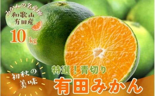 【先行予約】【初秋の美味】【農家直送】特選　青切り有田みかん　約10kg+200g(傷み補償分)　【2026年9月中旬～10月上旬頃に順次発送予定】【ard233A】