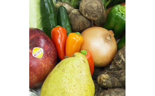 【定期便３ヶ月】イーハトーヴ野菜C もりもりセット 11品～ 詰め合わせ＜予約受付2026年4月より発送開始＞ 【1208】