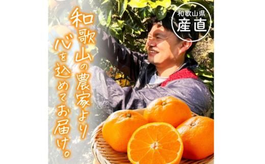 わかやま 旬の くだもの 定期便【Ｓ】 全3回 / フルーツ まりひめ いちご 小玉 すいか ※北海道・沖縄・離島への配送不可 （配送日時指定不可） / 定期便 フルーツ みかん いちご すいか 【a