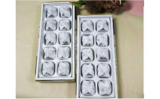 人気商品!! 中津川銘菓：栗きんとん20個（10個入×2箱）[秋季限定]【12月お届け】 F4N-2312