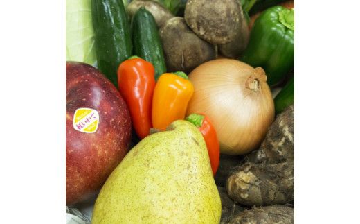 【定期便12ヶ月】イーハトーヴ野菜A お試しセット6品～ 【295】