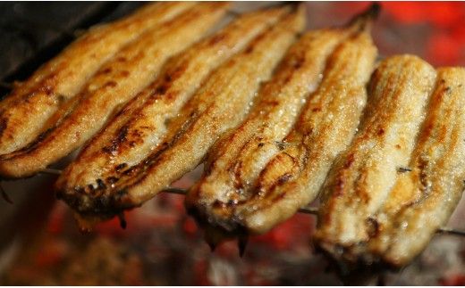 【１２回定期便】炭火手焼のうなぎ蒲焼130g×１尾セット 蒲焼のたれ付き - 鰻 ウナギ タレ付き たれ 夕飯 夕食 ご飯のお供 うな丼 うな重 丼ぶり ひつまぶし おつまみ 養殖 土用の丑の日 スタミナ 国産 高知県 香南市 冷凍 Wfb-0024