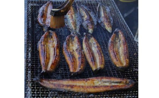 【四国一小さなまち】≪ヤマシン≫ ※ 冷凍 ※ 特選うなぎの蒲焼き　３尾