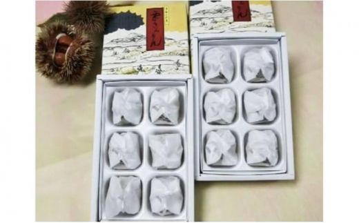中津川銘菓：栗きんとん12個（6個入×2箱）[秋季限定]【12月お届け】 F4N-2306