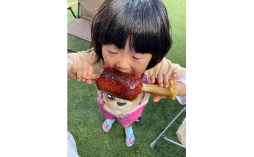 京丹後産ジビエ　鹿骨付きソーセージ700ｇ（350g×2袋）NI00017