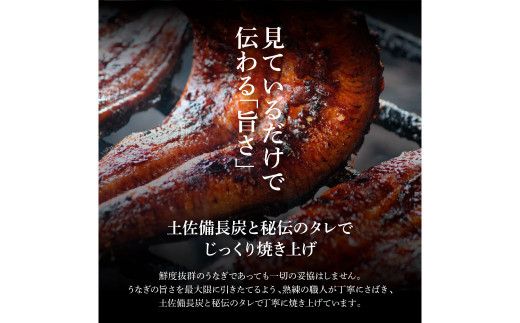 ヤマシン特選うなぎの蒲焼き 2尾 3ヶ月定期便 約130g×2尾 タレ付き 山椒付き 鰻 ウナギ 無頭 国産 蒲焼 かば焼き かばやき 特製タレ おいしい ふっくら お取り寄せ