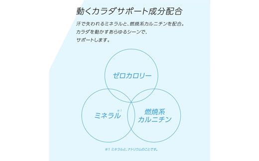 ゼロカロリーで熱中症対策におすすめ！アクエリアスゼロ2Lペットボトル×6本 【655】