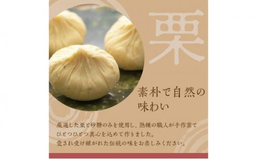 人気商品!! 栗きんとん詰合せ12個入 [秋季限定] 信玄堂 【2026年1月お届け】 F4N-2323