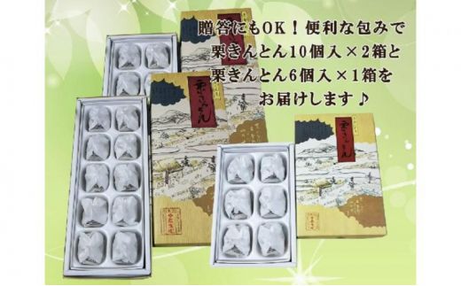 中津川銘菓：栗きんとん26個（10個入×2箱+6個入×1箱）[秋季限定] 信玄堂 【10月お届け】 F4N-2882
