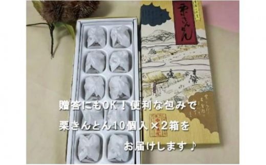 人気商品!! 中津川銘菓：栗きんとん20個（10個入×2箱）[秋季限定]【2025年1月お届け】 F4N-2313