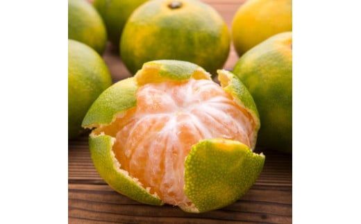 【初秋の美味】特選　ゆら早生有田みかん　約10kg+200g(傷み補償分)【2026年10月中旬～11月上旬頃に順次発送予定】【ard235A】