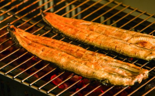 田野町産うなぎの蒲焼き(大）2本 タレ付き 山椒付き うなぎ 鰻 ウナギ 蒲焼き かば焼き 無頭 おいしい 国産 お取り寄せ 冷凍 配送