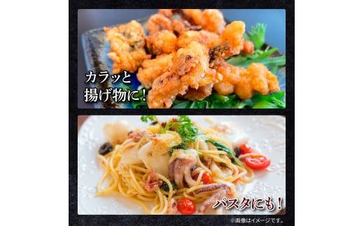 イカの王様★アオリイカのゲソ 1.5kg アオリイカ ゲソ 500g×3パック 1500g 1.5キロ イカ いか 烏賊 魚介類 げそ いかげそ 焼き 唐揚げ おつまみ 美味しい 柔らかい