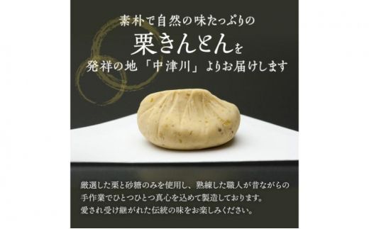 中津川銘菓：栗きんとん26個（10個入×2箱+6個入×1箱）[秋季限定] 信玄堂 【12月お届け】 F4N-2318