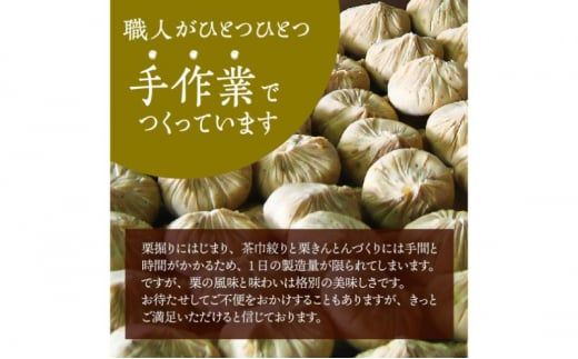 人気商品!! 中津川銘菓：栗きんとん20個（10個入×2箱）[秋季限定]【9月お届け】 F4N-2876