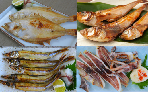 【兵庫県香住産 特選干物セット 干しカレイ600g 干しハタハタ200g 干しキス400g 一夜干しスルメ200g 冷凍】ご入金確認後、順次発送予定 香住 水揚げ 新鮮 赤穂塩 自然 旨み 味わい 絶妙 塩加減 伝統 干し技術 干物 詰め合わせ 食べ比べ ふるさと納税 おすすめ 返礼品 兵庫県 香美町 香住 送料無料 宿院商店 33-03