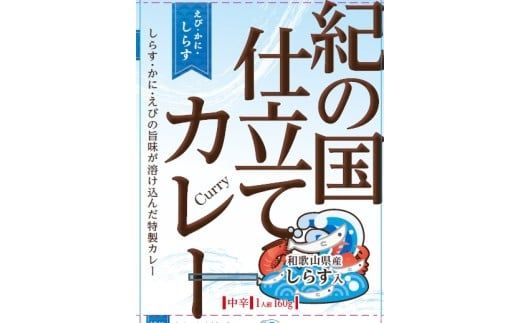 1073.【定期便】紀の国仕立てカレー・ハヤシ食べ比べ定期便(6ヶ月お届け)（A1073-1）
