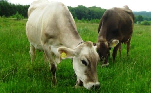 早池峰のむヨーグルト・ジュースセット 飲み切りサイズ（B-2）　 【1551】