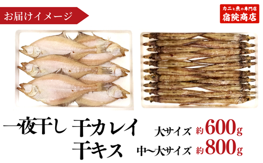 【一夜干し 干カレイと干キスセット】山陰沖で水揚げ 干物 ひもの 海産物 海鮮 魚介 焼いたり 空揚げ お酒のお供 ご飯のお供 日本海 香住海岸 香住魚港 柴山港 兵庫県 香美町 香住 宿院商店 33-12
