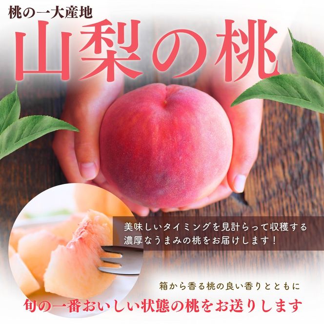 【来年2026年出荷分 先行予約】朝もぎ直送!『山梨県産　桃』約5～8玉 約2kg規格箱入り【高機能共選機使用】選び抜かれた桃《 もも 》　山梨県産 モモ  [2026年から値上げ予定]【tab0182-2026】