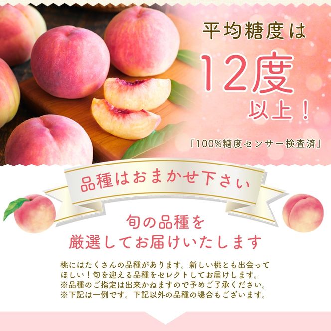 来年2026年出荷分 先行予約】朝もぎ直送!『山梨県産 桃』約5～8