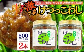 激辛国産青唐辛子味噌「けつっこわし」 【500ｇ×2本】辛くておいしい無添加合わせ味噌 辛いもの好き必見  美味 人気 癖になる旨さ 送料無料 山梨県 丹波山村【tab0223-502】