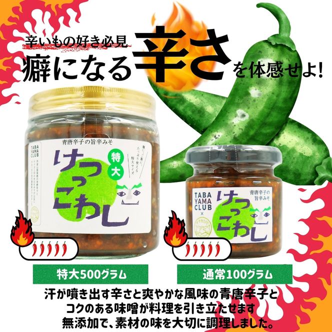激辛国産青唐辛子味噌「けつっこわし」 【500ｇ×2本】辛くておいしい無添加合わせ味噌 辛いもの好き必見  美味 人気 癖になる旨さ 送料無料 山梨県 丹波山村【tab0223-502】